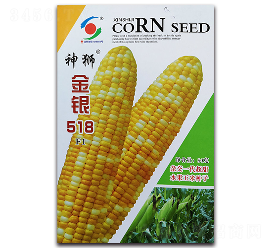神獅金銀518-糯玉米種子-新世紀(jì)