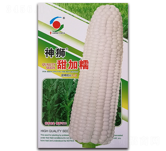 神獅甜加糯-糯玉米種子-新世紀