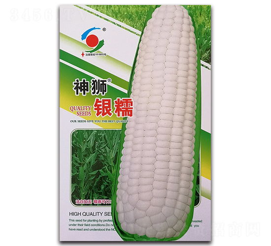 神獅銀糯-糯玉米種子-新世紀(jì)
