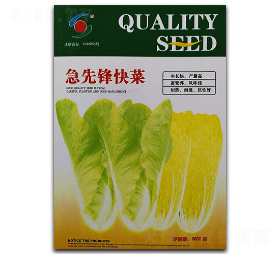 急先鋒快菜-白菜種子-新世紀(jì)