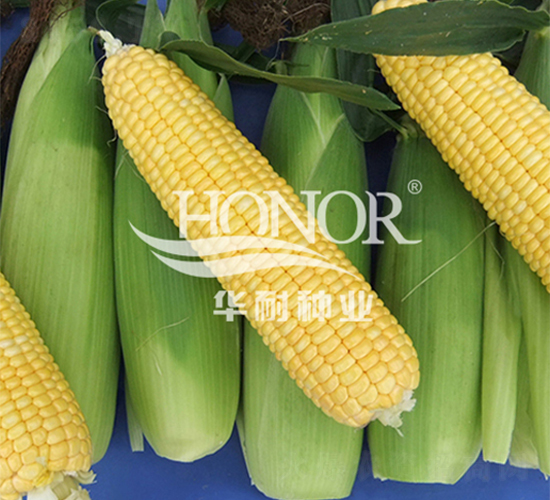 ����100-���׷N��-�A�ͷN�I(y��)