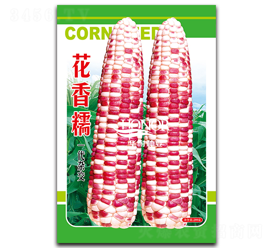 花香糯-玉米種子-華耐種業(yè)