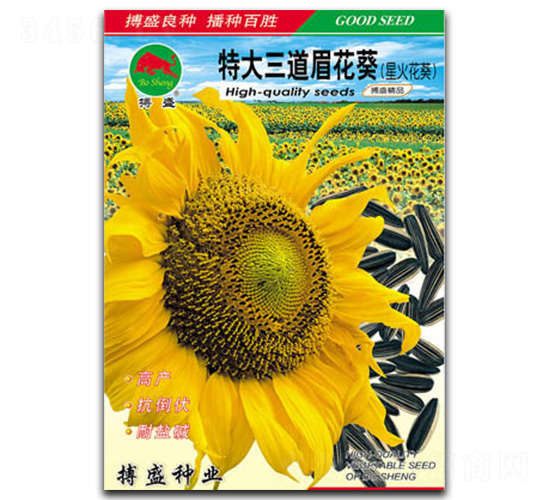 �ش�����ü����-�����N��-��ʢ�N�I(y��)