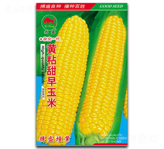 黃粘甜早玉米-玉米種子-搏盛種業(yè)