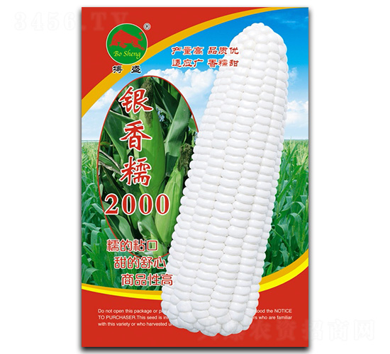 銀香糯2000-玉米種子-搏盛種業(yè)