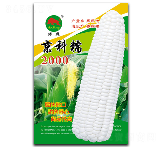 京科糯2000-玉米種子-搏盛種業(yè)