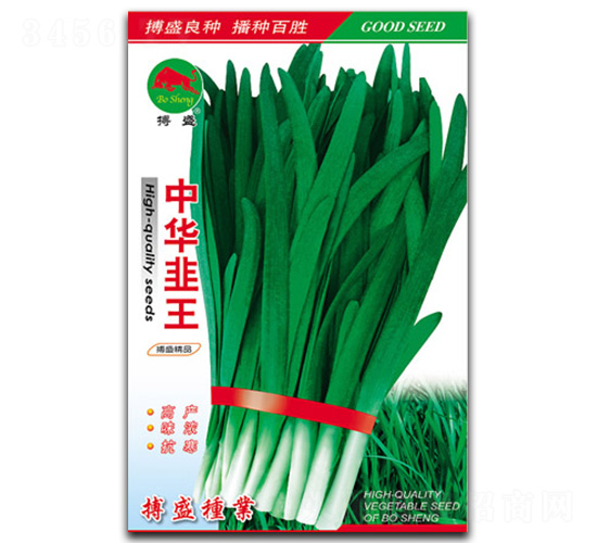 中華韭王-韭菜種子-搏盛種業(yè)