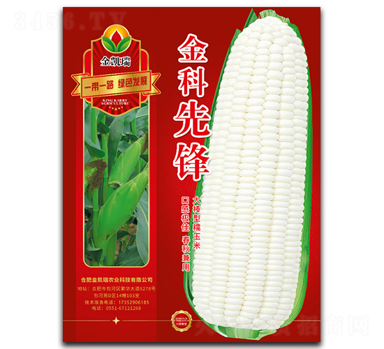 金科先鋒-玉米種子-金凱瑞