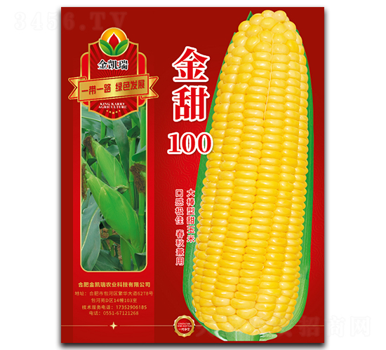 金甜100-玉米種子-金凱瑞