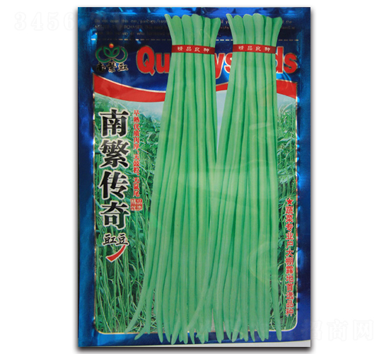 南繁傳奇-豇豆種子-杰優(yōu)種業(yè)