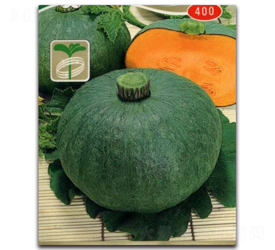 東京-南瓜種子-農(nóng)播王