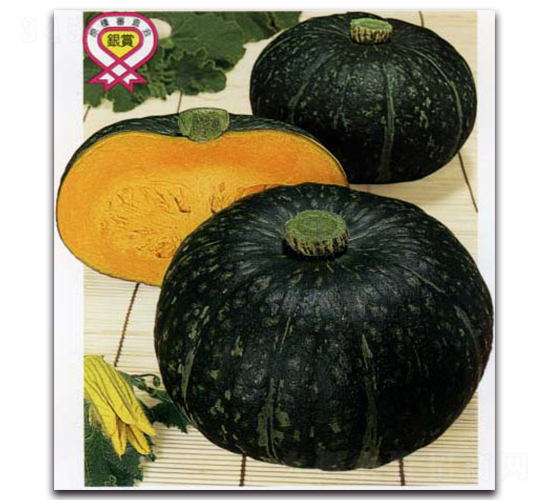 ����-�ϹϷN��-�r(n��ng)����