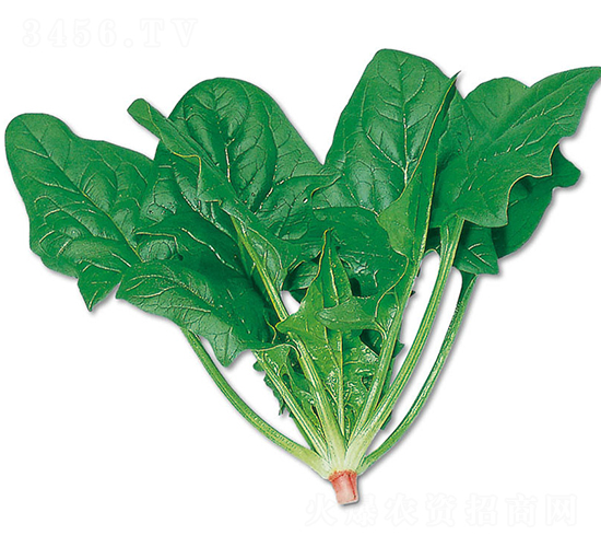 ���-���˷N��-�r(n��ng)����