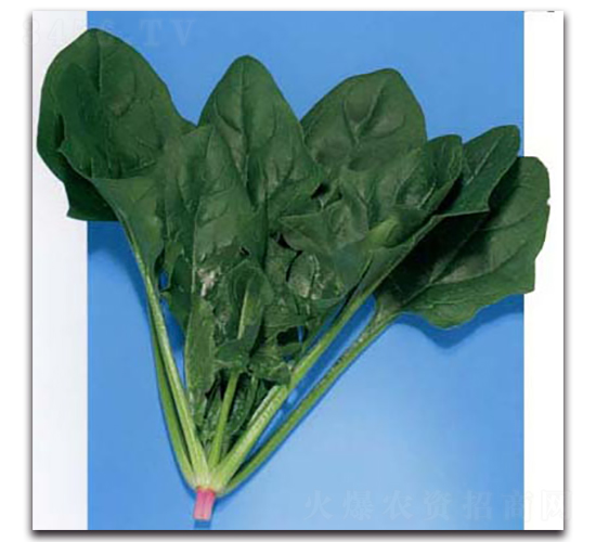 �|��-���˷N��-�r����