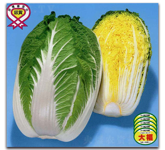 �츣�OƷ-��ײ˷N��-�r(n��ng)����