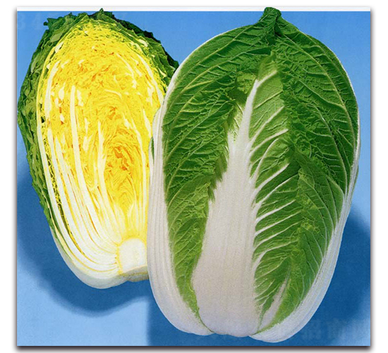 �츣75-��ײ˷N��-�r(n��ng)����