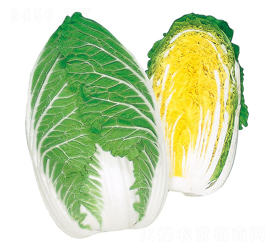 ���\-��ײ˷N��-�r(n��ng)����