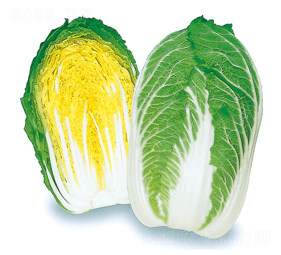 ÷�\-��ײ˷N��-�r(n��ng)����