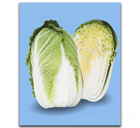 Խ�\-��ײ˷N��-�r(n��ng)����