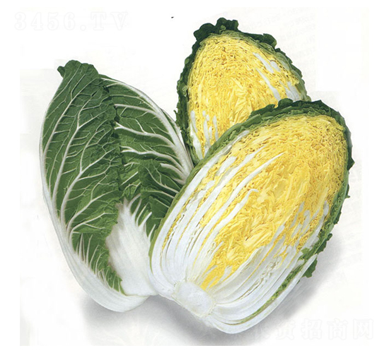 ���\-��ײ˷N��-�r(n��ng)����