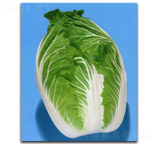 ���\-��ײ˷N��-�r����