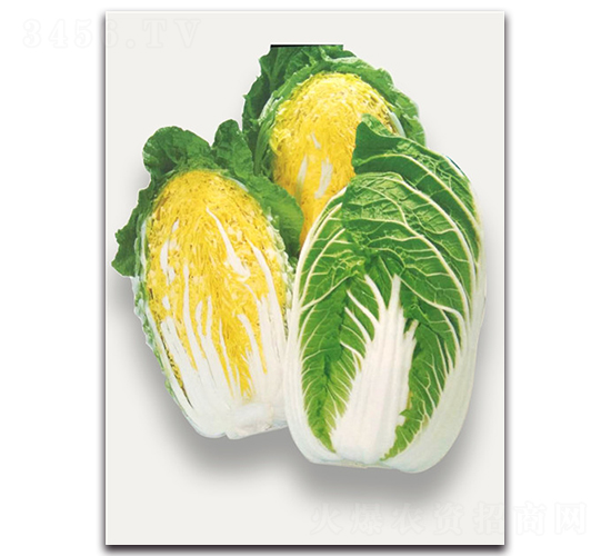 ���\-��ײ˷N��-�r����