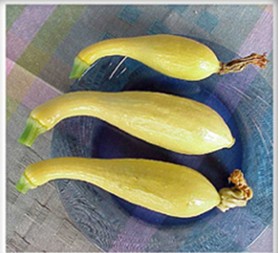 �S��֮��-�ϹϷN��-���N