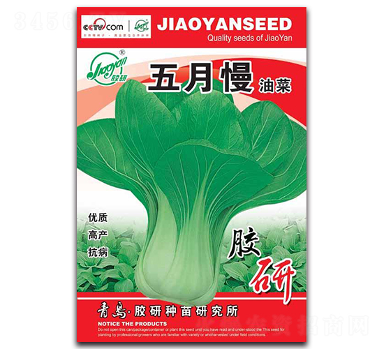 五月慢油菜-油菜種子-膠研