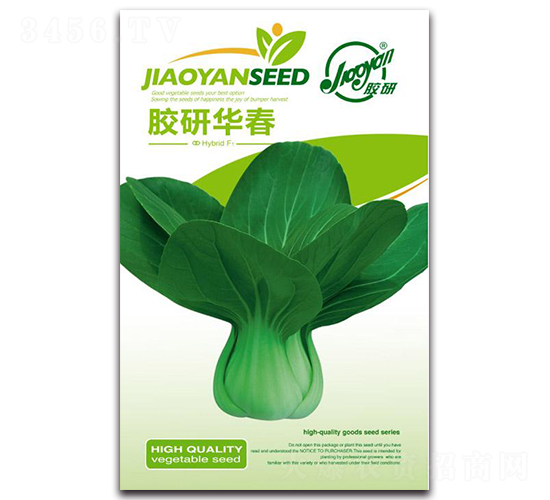 膠研華春-油菜種子-膠研