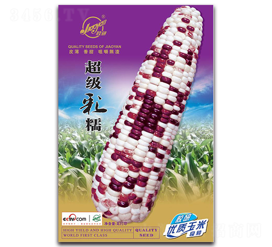 超級(jí)彩糯-糯玉米種子-膠研