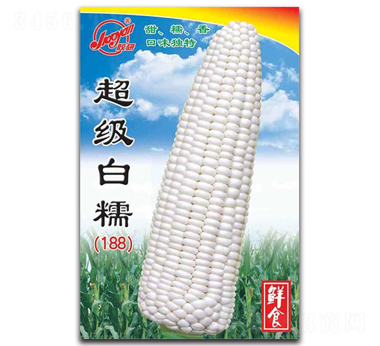 超級白糯（188）-糯玉米種子-膠研