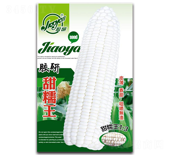 膠研甜糯王-糯玉米種子-膠研