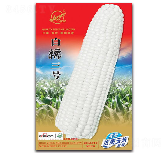 膠研白糯2號-糯玉米種子-膠研