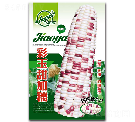 膠研彩玉甜加糯-糯玉米種子-膠研