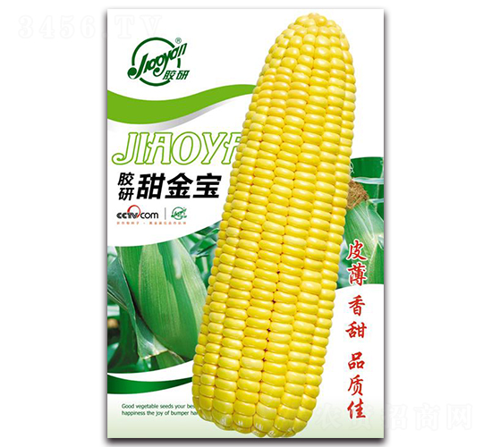 膠研甜金寶-甜玉米種子-膠研