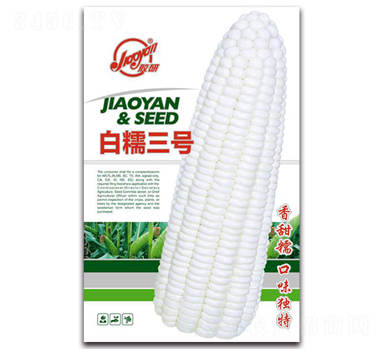 膠研白糯三號(hào)-糯玉米種子-膠研