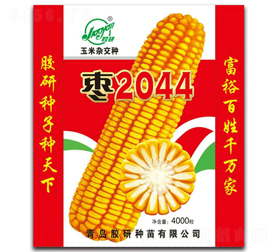 膠研棗2044-玉米雜交種-膠研
