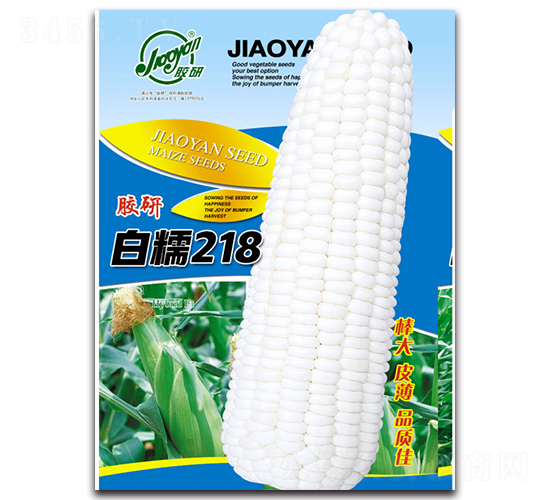 白糯218-糯玉米種子-膠研