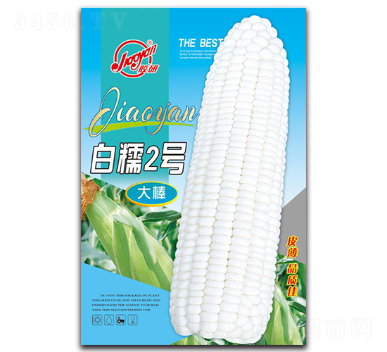 白糯2號(hào)-糯玉米種子-膠研