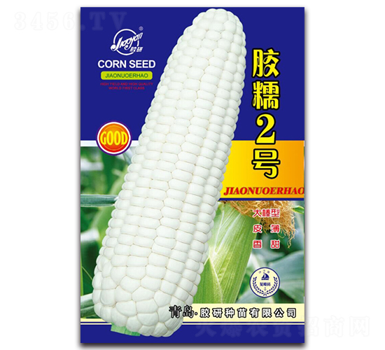 膠糯2號-糯玉米種子-膠研