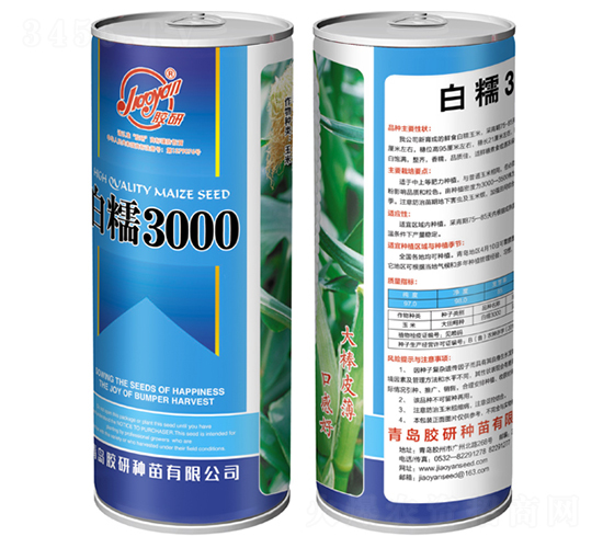 白糯3000-糯玉米種子-膠研