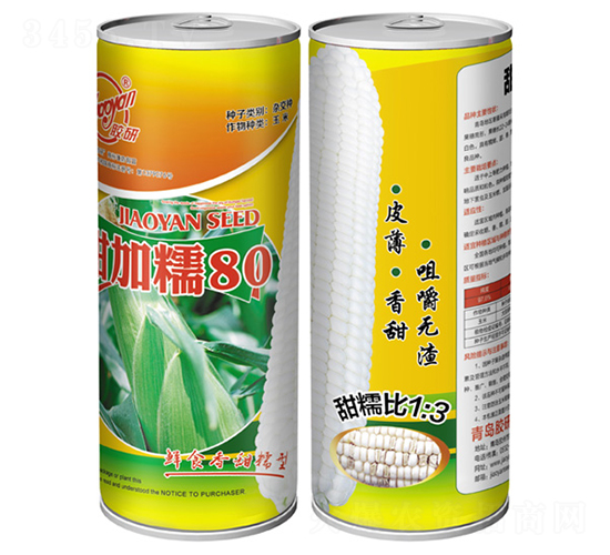 甜加糯80-糯玉米種子-膠研