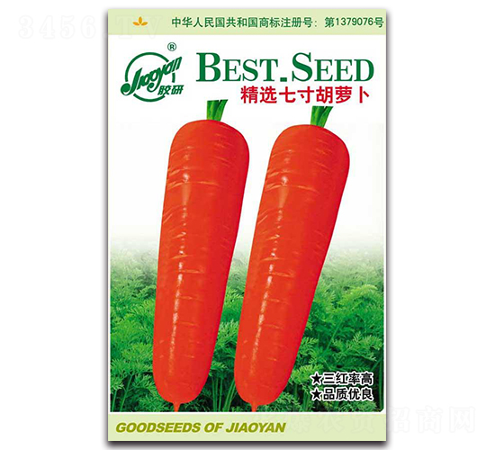 精選七寸胡蘿卜-蘿卜種子-膠研
