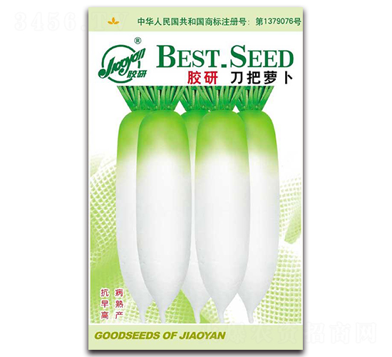 膠研刀把蘿卜-蘿卜種子-膠研