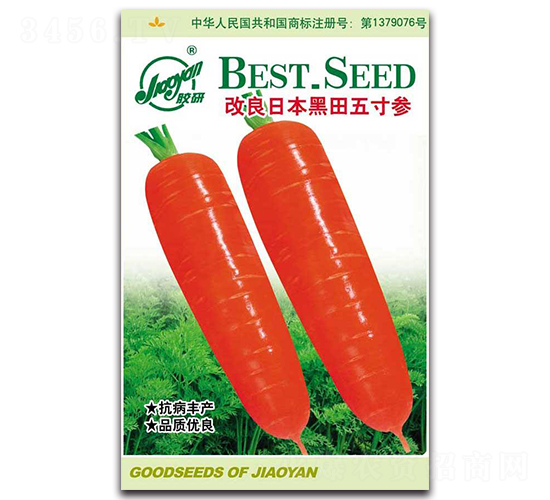 改良日本黑田五寸參-蘿卜種子-膠研