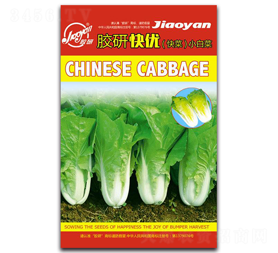 �z�п샞(y��u)-С�ײ˷N��-�z��