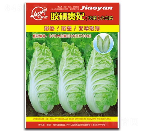 �z���F�����-С�ײ˷N��-�z��