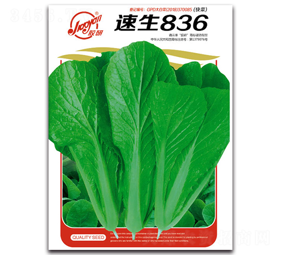 ����836-С�ײ˷N��-�z��