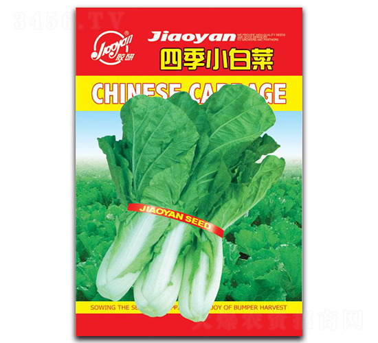 �ļ�С�ײ�-С�ײ˷N��-�z��