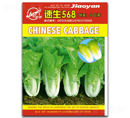 ����568-С�ײ˷N��-�z��